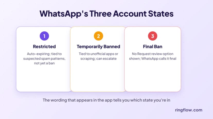 Die drei Kontostatus von WhatsApp: eingeschränkt (läuft automatisch ab), vorübergehend gesperrt (im Zusammenhang mit inoffiziellen Apps oder Scraping, kann eskalieren) und eine endgültige Sperre ohne Überprüfungsmöglichkeit