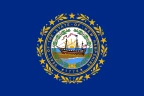 New Hampshire bayrağı