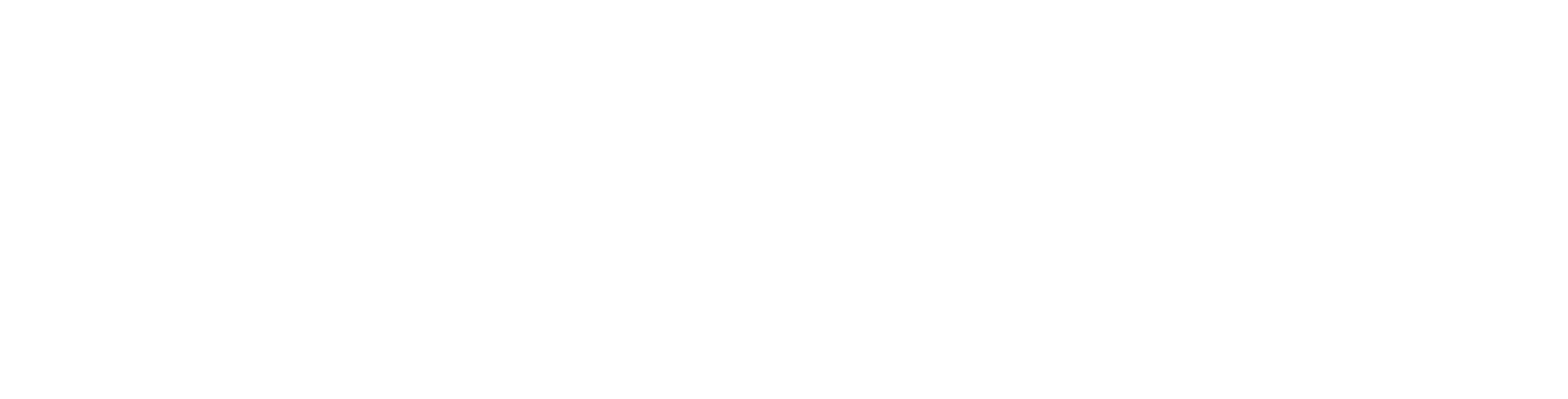 ringflow-white-logo