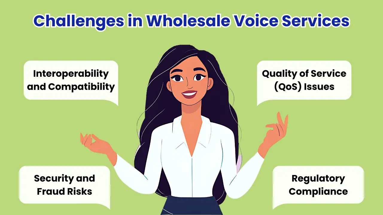Challenges in Wholesale Voice Services