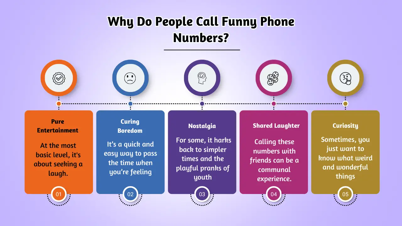 Why Do People Call Funny Phone Numbers
